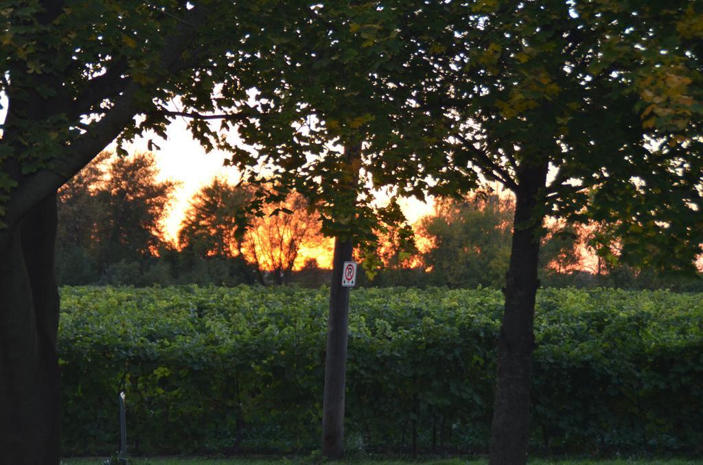 Old Town Country Landing Bed & Breakfast Niagara-on-the-Lake Dış mekan fotoğraf